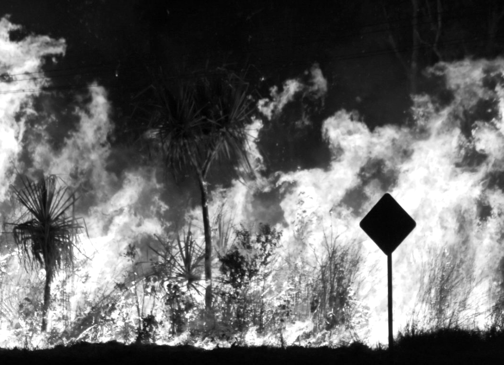 Climate Fire 2025-08-11 at 13.01.22
