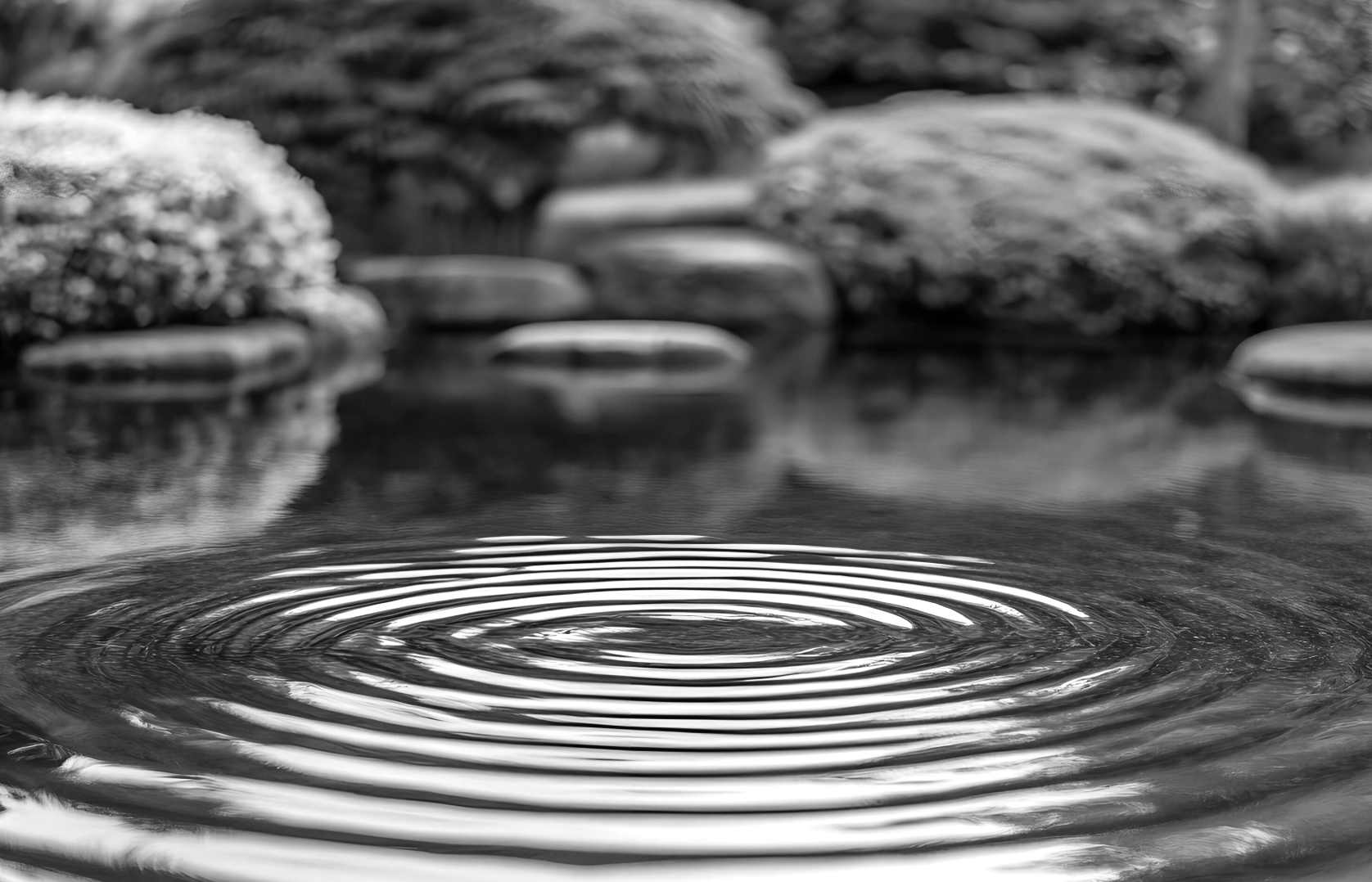 Ripples 2025-11-22 at 15.49.55